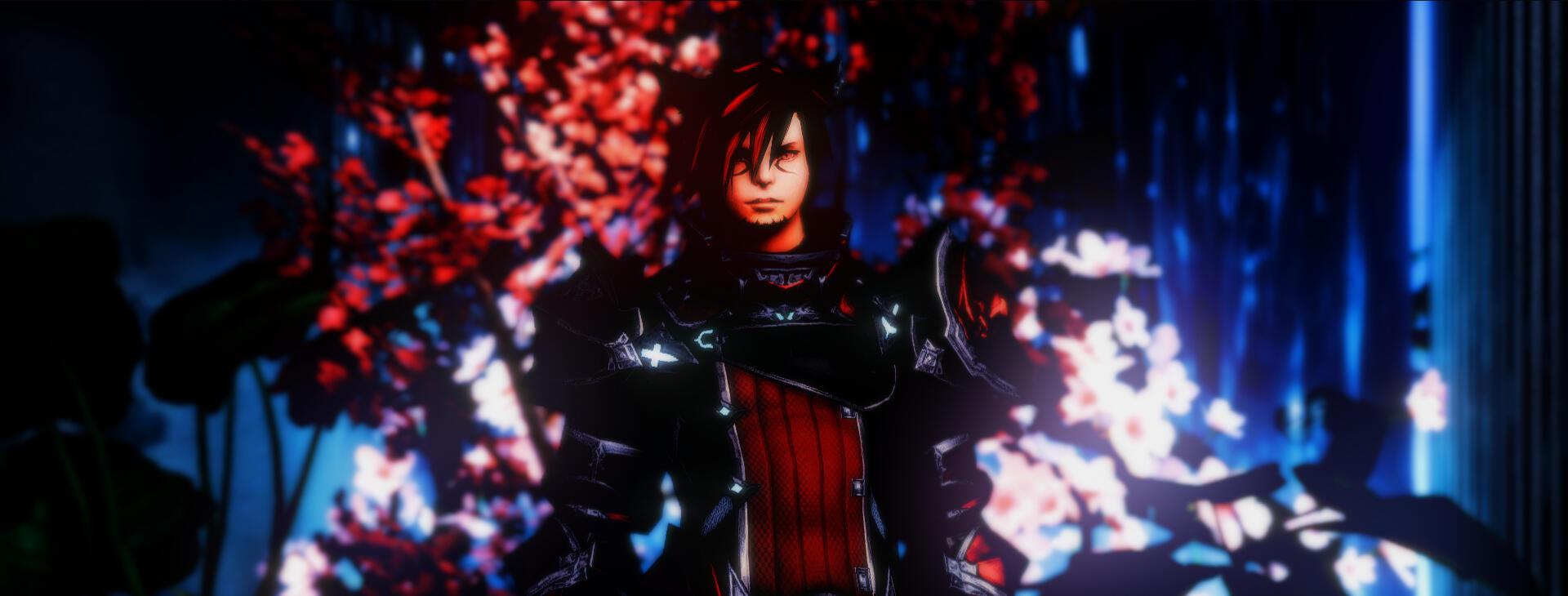 Header Image
